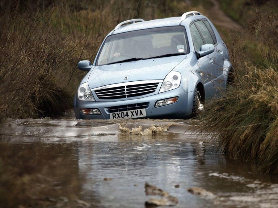  SsangYong Rexton 2001 года  (UK) (фото 2 из 3)
